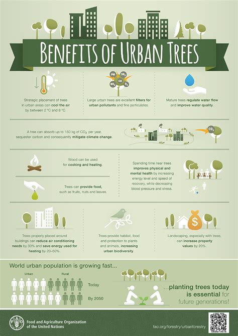 some of the advantages of planting trees in cities are that they|Climate Benefits of Urban Trees .